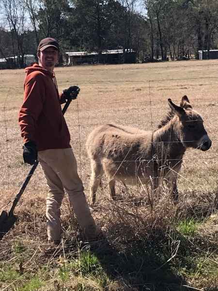 Angelina Worker and a Donkey